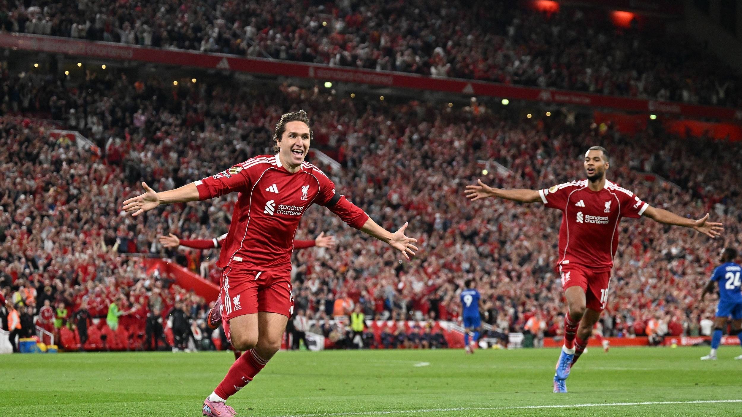 是凶悍还是 是凶悍还是