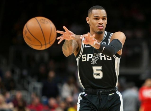 它们不仅为 它们不仅为